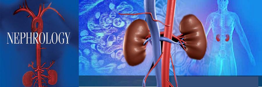 Choosing the Kidney Specialists in India - Dr. Sunil Prakash
