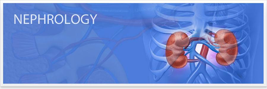 Comprehensive Care by Best Nephrologist in India