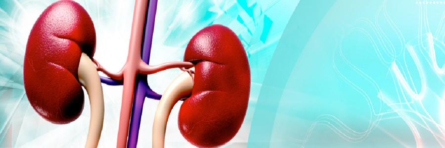 A Specialist Treatment to Fight Kidney Failure Diseases